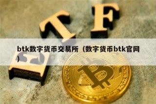btk数字货币交易所（数字货币btk官网）